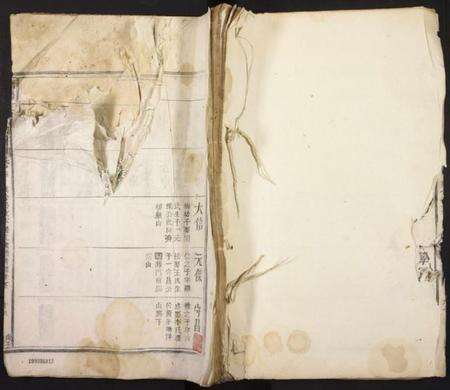 江西江氏族谱-济阳江氏宗谱.pdf电子版缩略图