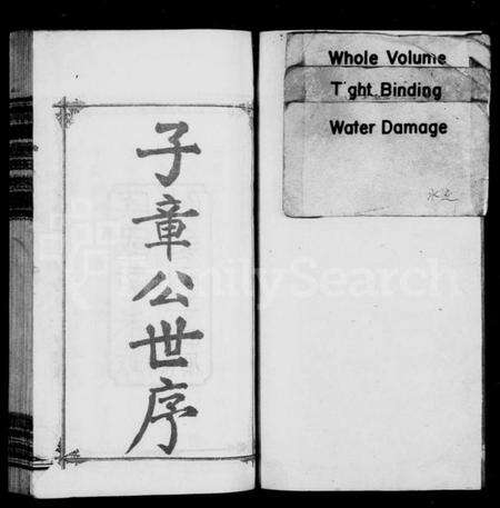 湖南彭氏族谱-资阳彭氏族谱 [25卷,首1卷].pdf电子版预览图1