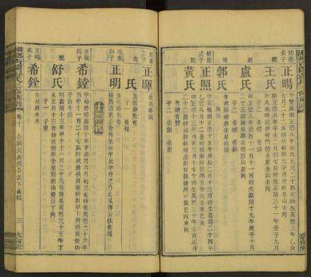 湖南彭氏族谱-湘乡青兰彭氏三修族谱 [残卷].pdf电子版预览图3