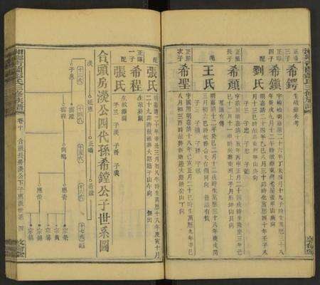 湖南彭氏族谱-湘乡青兰彭氏三修族谱 [残卷].pdf电子版预览图4