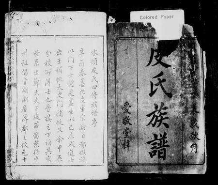 湖南皮氏族谱-水头皮氏四修族谱.pdf电子版预览图2