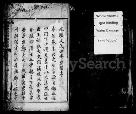 湖南皮氏族谱-水头皮氏四修族谱.pdf电子版预览图3