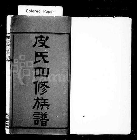 湖南皮氏族谱-皮氏四修族谱 [30卷].pdf电子版预览图1