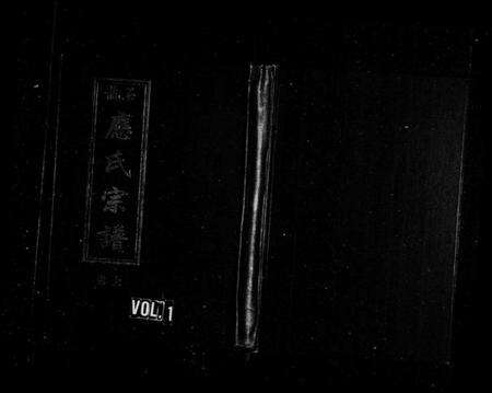 浙江应氏族谱-石龙应氏宗谱 [2卷].pdf电子版预览图1