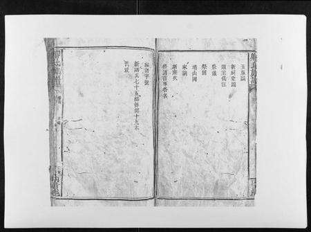湖南卿氏族谱-卿氏族谱[不分卷].pdf电子版预览图2