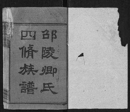 湖南卿氏族谱-邵陵卿氏四修族谱.pdf电子版预览图1