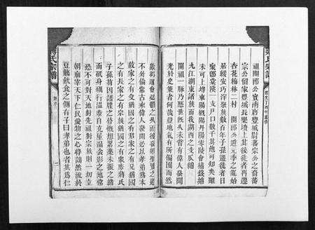 江西蒋氏族谱-蒋氏宗谱[不分卷].pdf电子版预览图2