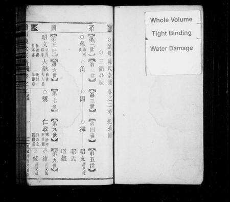 浙江陈氏族谱-颖川陈氏宗谱.pdf电子版预览图2