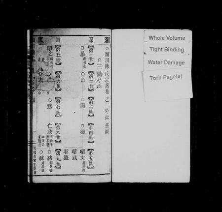 浙江陈氏族谱-颖川陈氏宗谱.pdf电子版预览图2