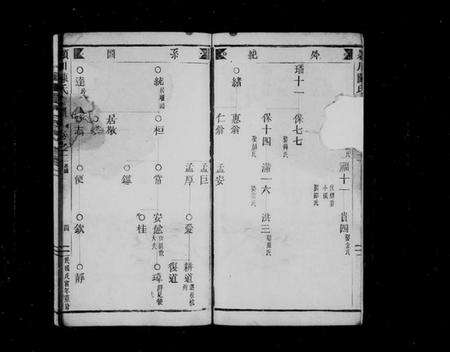 浙江陈氏族谱-颖川陈氏宗谱.pdf电子版预览图5