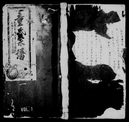 浙江童氏族谱-童氏宗谱 [残卷].pdf电子版预览图1