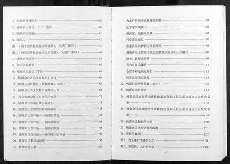 湖南佘氏族谱-佘氏族谱.pdf电子版预览图3