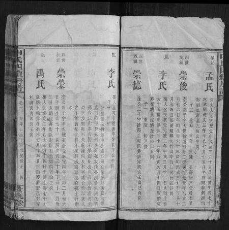 湖南申氏族谱-申氏四续房谱.pdf电子版预览图4