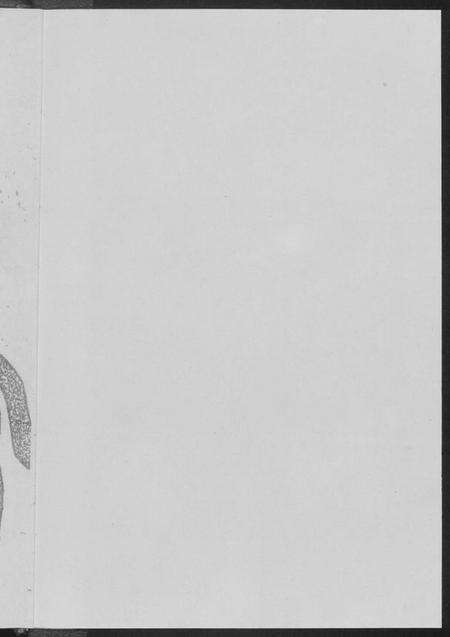 湖北黄氏族谱-黄氏世系吊图谱.江夏郡义城堂.pdf电子版预览图3