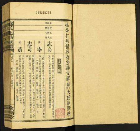 湖南盛氏族谱-盛氏七修族谱.pdf电子版预览图1