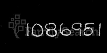 浙江金氏族谱-绍兴渔临金氏宗谱.pdf电子版缩略图