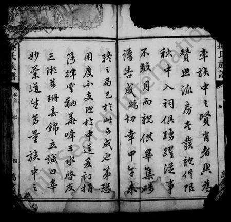 湖南盛氏族谱-盛氏族谱 [24卷,及卷首末].pdf电子版预览图5