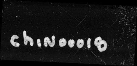 湖南盛氏族谱-盛氏族谱 [2卷,首1卷].pdf电子版预览图1