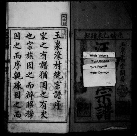 浙江汪氏族谱-统谱汪氏统宗正脉谱 [12卷,及卷首末].pdf电子版预览图3