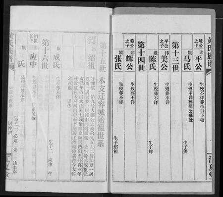 湖北黄氏族谱-黄氏族谱.pdf电子版预览图2