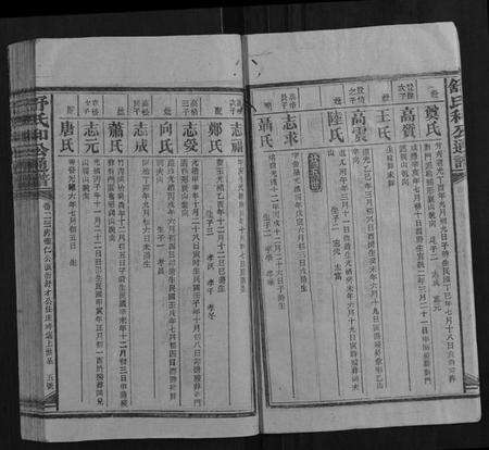 湖南舒氏族谱-舒氏和公通谱.pdf电子版预览图5