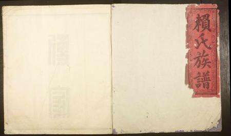 江西赖氏族谱-信丰赖氏族谱.pdf电子版缩略图