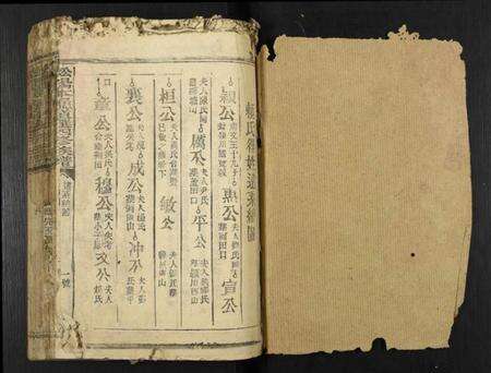 江西赖氏族谱-松阳本鼐道选四修族谱[总卷数不详].pdf电子版预览图1