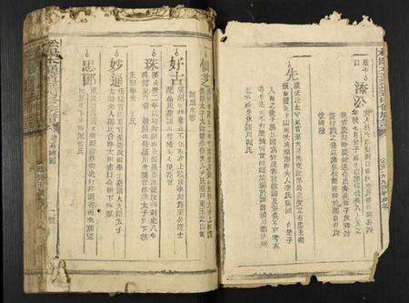 江西赖氏族谱-松阳本鼐道选四修族谱[总卷数不详].pdf电子版预览图2