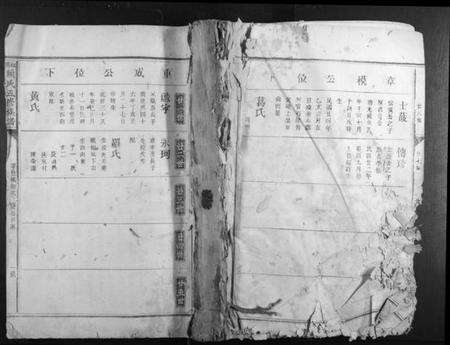 江西赖氏族谱-松阳赖氏五修族谱.pdf电子版缩略图