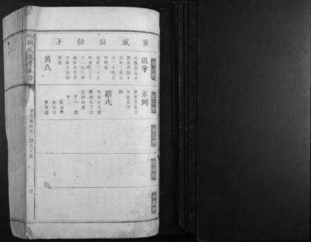 江西赖氏族谱-松阳赖氏五修族谱.pdf电子版预览图1