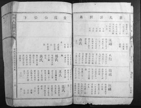 江西赖氏族谱-松阳赖氏五修族谱.pdf电子版预览图2