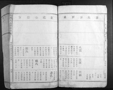 江西赖氏族谱-松阳赖氏五修族谱.pdf电子版预览图4