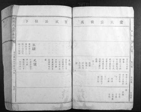 江西赖氏族谱-松阳赖氏五修族谱.pdf电子版预览图5