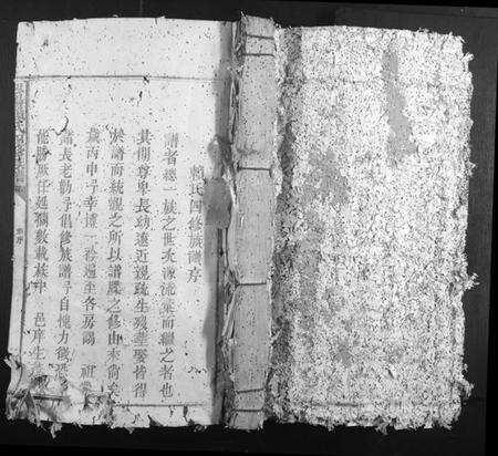 江西赖氏族谱-松阳赖氏四修族谱.pdf电子版缩略图