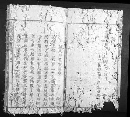 江西赖氏族谱-松阳赖氏四修族谱.pdf电子版预览图3