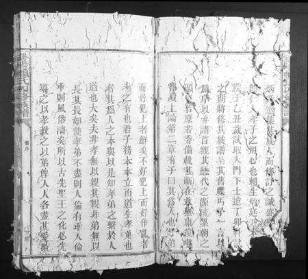 江西赖氏族谱-松阳赖氏四修族谱.pdf电子版预览图4