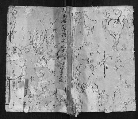 江西赖氏族谱-松阳双峰赖氏族谱.pdf电子版缩略图