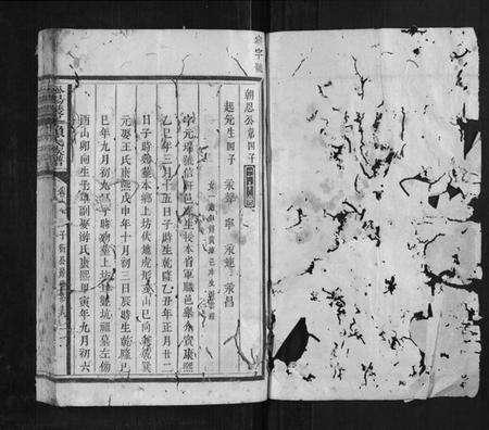 江西赖氏族谱-松阳双峰赖氏族谱.pdf电子版预览图1