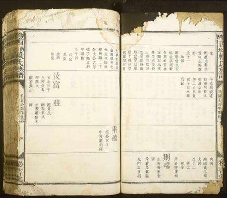 江西赖氏族谱-渝西南北赖氏族谱.pdf电子版预览图3