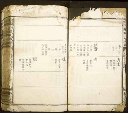 江西赖氏族谱-渝西南北赖氏族谱.pdf电子版预览图4