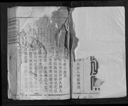 江西赖氏族谱-赖氏五修宗谱[不分卷].pdf电子版预览图2