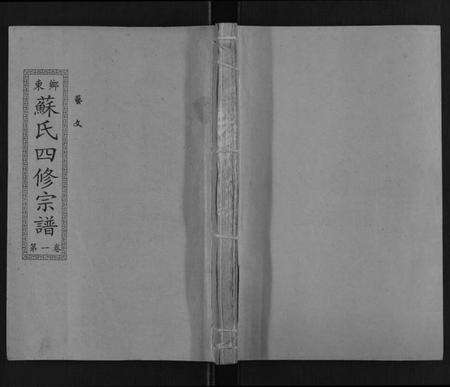 湖南苏氏族谱-苏氏四修宗谱[20卷].pdf电子版缩略图