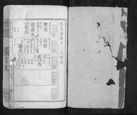 江西赖氏族谱-赖氏宗谱.pdf电子版预览图1