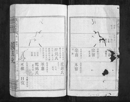 江西赖氏族谱-赖氏宗谱.pdf电子版预览图2