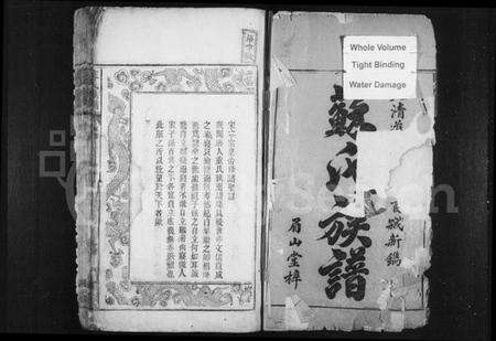 湖南苏氏族谱-苏氏族谱 [12卷,及卷首].pdf电子版预览图3