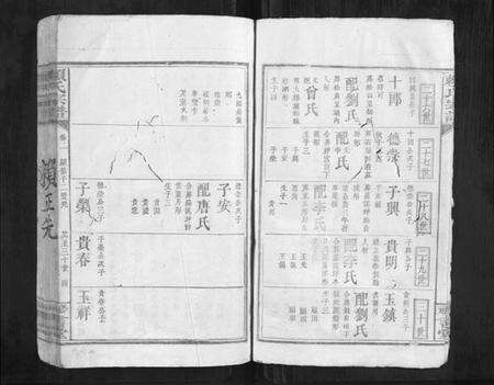 江西赖氏族谱-赖氏宗谱.pdf电子版预览图4