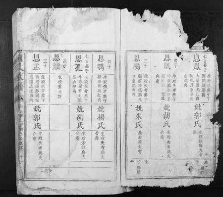 江西赖氏族谱-赖氏族谱.pdf电子版预览图1