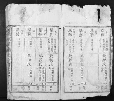 江西赖氏族谱-赖氏族谱.pdf电子版预览图2