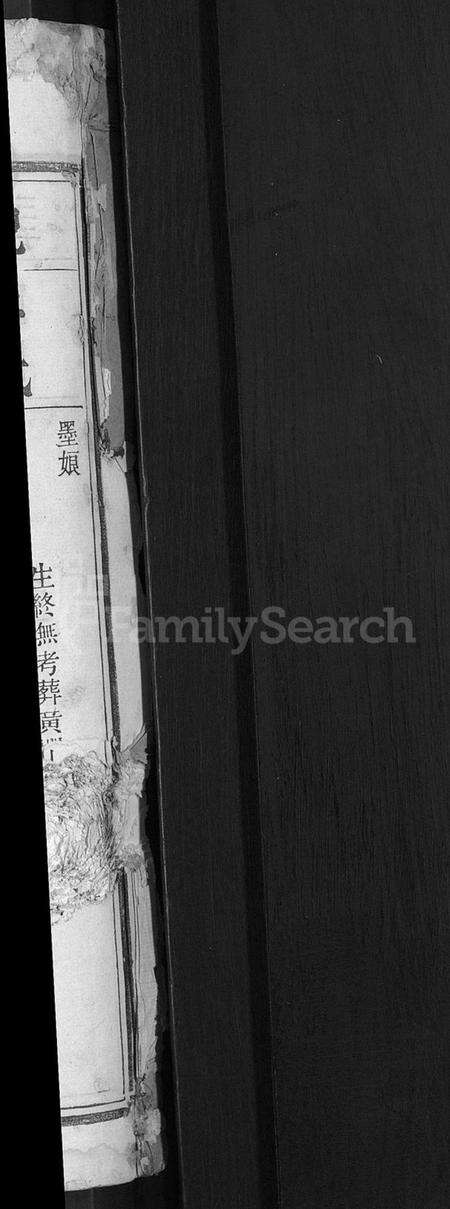 湖南苏氏族谱-苏氏武功续修族谱 [残卷].pdf电子版预览图2