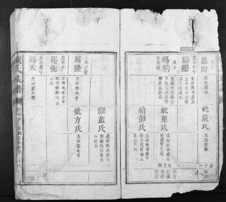 江西赖氏族谱-赖氏族谱.pdf电子版预览图3